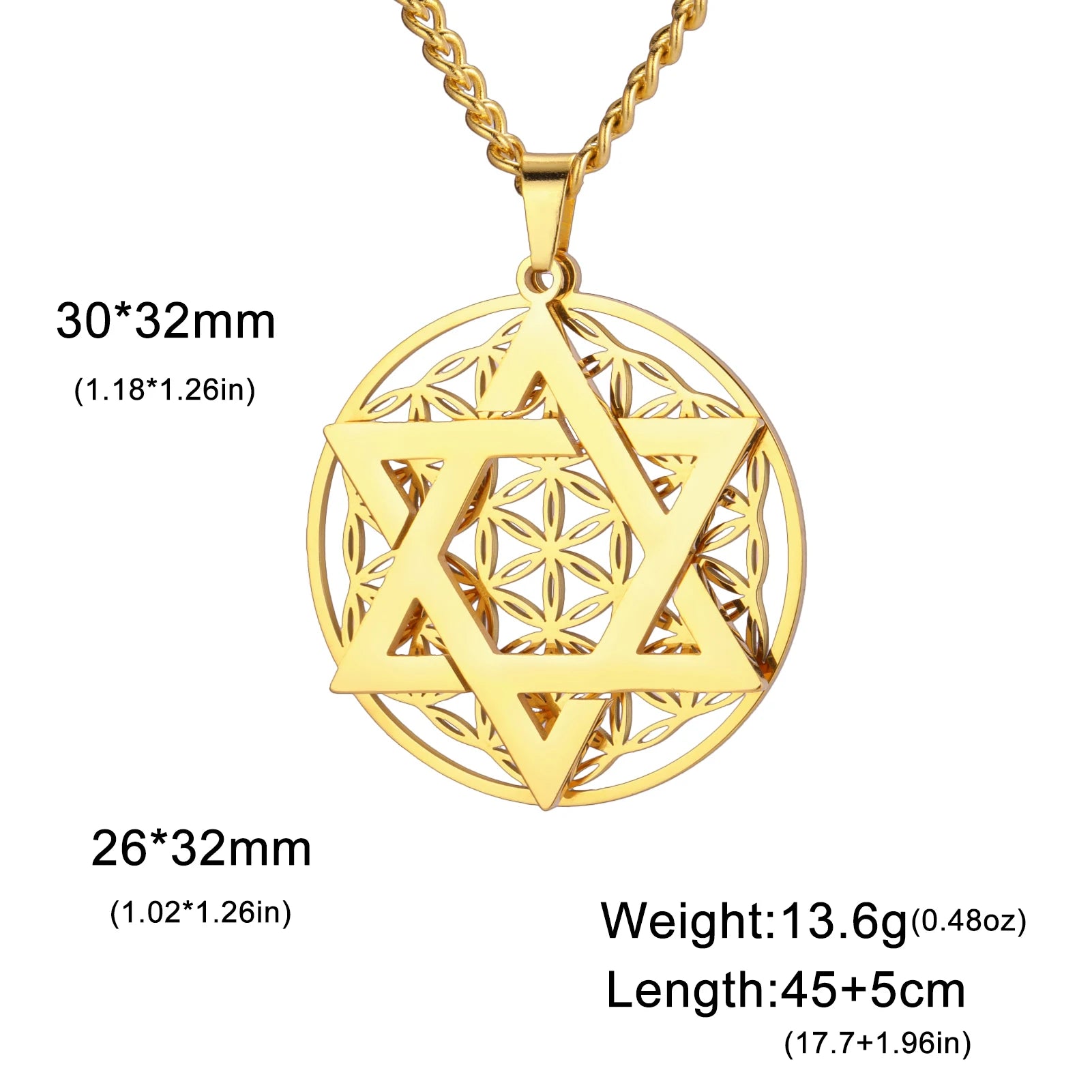 Star of David Pendant Necklace - Stainless Steel Viking Flower of Life Amulet Chain